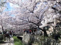 2014　京都の桜　１日目