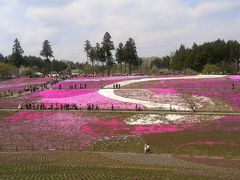 芝桜と12年に1度の秩父札所総開帳めぐり