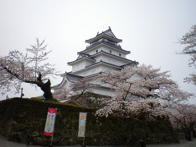 　三月下旬には早々と満開の時期を迎えたものの、時ならぬ春の嵐のいたずらに一瞬で散ってしまった近隣や都内の桜もすでに若葉の季節に突入しています。<br /><br />　そこで北上する桜前線を追って、数多くの桜の名木があることで知られている福島県三春町や会津鶴ヶ城でお花見をすることになりました。　都心部の満開期間がすこぶる短期間であったため、この時期に有名な桜の数々を鑑賞できるなんて　とても得した気分です。<br /><br />　今回のお花見ツアーにご一緒するのは昨年「十和田湖・八甲田山」などをご一緒した妹の同期の方々4名と、私の友人を加えて総勢7名です。<br /><br /><br />　まずは　日本桜の名所百選の一つ　白虎隊の悲話で知られる松平藩23万石のシンボルである鶴ヶ城を訪ねます。<br /><br />　その公園内では約1000本のソメイヨシノを中心にエドヒガン、シダレザクラ、ヤマザクラが咲き乱れているそうです。<br /><br />　鶴ヶ城は現存する日本唯一の赤瓦の天守閣にリニューアルし、白虎隊士も見ていた幕末時の姿を楽しめます。<br /><br />　<br />　17日（木）　19:30には戸田公園を出発し、外環浦和インター　川口から東北　高速道で佐野SAへ　そこでファミリーロッジ旅籠屋・佐野SA店へ泊ります。<br /><br />　18日（金）07:30佐野SA出発ー東北高速道郡山インターから（08:30)ー常磐道会津若松インターを降りて　鶴ヶ城へ（09:30) 鶴ヶ城内の桜および天守閣見学（11:00)<br /><br />　初日から　天候に恵まれ　行く先々で開花状況はベストコンディション。　どこもかしこも満開状態の連続でとても恵まれたお花見ツアーとなりました。<br /><br />　市内で昼食後　猪苗代湖へ<br /><br />　会津若松インターからー東北道三春インター（16:00)を経由し夕方前に二日目の宿泊先若松屋旅館でチェックインを済ませた後　ライトアップされるという「滝桜」を観に出かけました。<br /><br />　１9日（土）は　桜の里　三春を散策します。<br /><br />　三春の桜は　次回詳細をご報告します。<br /><br />　まずは鶴ヶ城　城内散歩と天守閣からの眺望　それから酒蔵「宮泉」と猪苗代湖へ　以上が初回のご報告内容です。<br /><br /><br />　注）記事中　各地の記述は　公式ＨＰおよび関連ＷＥＢサイトから抜粋・加筆したものです。<br />