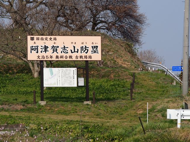 国見町には源義経の死後に、頼朝が藤原氏を攻めた奥州合戦の遺跡があります。まず、古代から続いていた東北地方の独立国と、その滅亡の歴史を概観しておきます。1世紀末に武内宿禰が「東のひなに日高見国あり。土地肥えて広し、撃ちてとるべし」と景行天皇に奏上してヤマトの東征が始まった。ところが、367年に田道将軍勢がツガルで全滅。780年ヤマトの多賀城が焼き払われ、789年5万のヤマト軍がアテルイに敗れるなど、東北王権は独立を保っていました。壇ノ浦の戦い(1185年)で平家が敗れ、日本は東北地方を支配する藤原氏と関東以西を支配する源氏とに二分されたが、全国制覇を目指す頼朝は藤原氏に対して圧力を強め、藤原氏が京都朝廷へ直接献金していたのを鎌倉経由とするよう要求し、藤原氏はこれに従ったとされるが、西行法師が頼朝に会ってから平泉の藤原秀衡を訪れたのが1186年で、同年10月には平泉から砂金450両が都に到着している。1188年2月:源義経の平泉滞在を知った頼朝は、朝廷に求めて藤原泰衡に義経追討の宣旨を下したが、泰衡は前年に死去した秀衡の遺命に従い追討宣旨を拒否した。業を煮やした頼朝は藤原泰衡追討の宣旨を朝廷に求めた。1189年4月:泰衡は鎌倉方の威圧に屈して衣川館を襲い、義経の首を鎌倉へ送って恭順の意を示したが、頼朝の本心は奥州藤原氏の殲滅にあり、全国に動員令を発令。各地の地頭は頼朝を怖れてこれに従った。6月:義経の死亡を知った後白川法皇は、戦闘停止の院宣を鎌倉に送り、ついで泰衡追討の延期を命じる宣旨も頼朝に届くが、頼朝はすべてを無視して東北征伐を敢行した。奥州側は国見町の阿津賀志山に城壁を築き、中腹から阿武隈川までの約4kmに、幅10m余りの二重堀(ふたえぼり)を掘って阿武隈川の水を引き入れ、2万の兵を配備して迎撃態勢を取ったが、頼朝の鎌倉軍は戦馴れした2万5千の兵力で襲来し、濠を埋めて突破した。8月8日から10日までの国見町を主戦場にした「奥州合戦」は鎌倉方の勝利に帰した。以後、奥州方には大規模な会戦の余力はなく、政治の中心地・多賀城も防衛できず、22日には本拠地の平泉も陥落した。9月3日には蝦夷地を目指した藤原泰衡が比内で殺された。この奥州征伐の戦役で、古代から続いていた東北の独立国が滅亡し、武士によって始めて、日本として全国が統合されたが、藤原氏が夢見た「仏教王国」は瓦礫に帰した。500年あとの1689年5月3日にこの地をたずねた芭蕉は、福島でもじずり石を見て、月の輪で阿武隈川を渡り、佐場野で義経の従者佐藤兄弟の父の城跡(丸山・館山)を訪れ、佐藤一家の菩提寺である医王寺で寺宝の義経・弁慶の遺品をみて「笈も太刀も五月(さつき)にかざれ紙幟」と詠んで、飯坂の貧家の土間に泊まった。翌日は大木戸を越え、宮城県白石市の田村神社甲冑堂で、佐藤兄弟の嫁二人が夫の鎧を着て姑を慰めたという木像を見たが「奥の細道」ではこれを医王寺の話にしている。封建体制が確立された江戸期に訪れた芭蕉にとっては、佐藤一家の忠節物語りが興味の中心であり、日ノ本と呼ばれていた東北王国が滅亡した奥州合戦の故地は、興味を惹かなかったらしい。現在、国見町の防塁は発掘整備され、近くには藤原氏の平泉をめざす義経が休んだという腰掛松(2013年に枯死)や、戦死者の名を書きとめるに用いたという弁慶の硯石などがある。この国見町は福島県の北部で宮城県と接している。地形的に山がせまっている交通の要衝で、現在でも東北本線、陸羽街道、東北自動車道が近接し並んで走っている(新幹線は地下)。最寄り駅は東北本線の藤田駅(旧国見宿)で福島から10数分で着く。