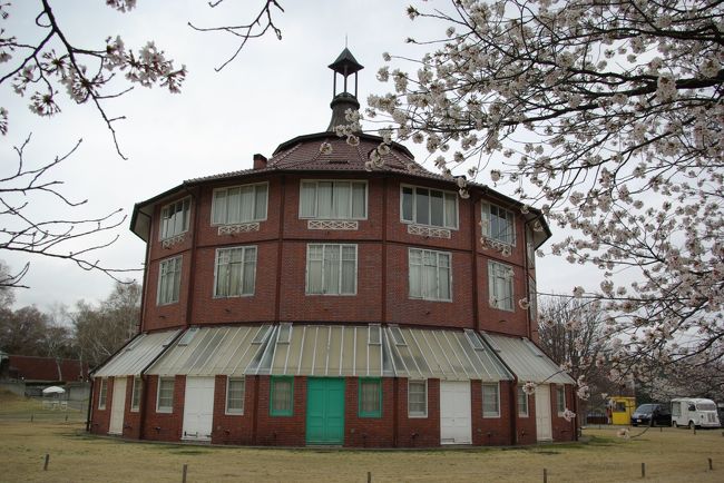 北杜市にある清春芸術村の桜が満開とテレビで知り、即座に出掛けました。<br />中央道長坂ＩＣに近い清春という場所に造られた美術館などの集合体で、<br />広い敷地の真ん中にとても珍しいデザインのすてきな建物があるのが特徴です。<br />芸術の国フランスらしい洒落た外観にひとめぼれです。そして、敷地をぐるっと囲む桜。<br />生憎と、天気は下り坂。夜には雨になりましたが、堪能することが出来ました。<br />「清春白樺美術館」と「光の美術館」、それに「ルオーの礼拝堂」や「梅原龍三郎の<br />アトリエ」などもあり、規模は小さいながらも、粒ぞろいの展示を楽しむことが出来ます。