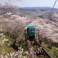 今シーズンもやってきました