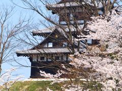 ２０１４　越後の春 「 桜めぐり 」 の旅 ＜ 新潟県上越市・五泉市・燕市・西蒲原郡弥彦村 ＞