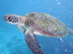 プーケット、ピピ島、シミラン諸島　ビーチ三昧の一週間母子旅行　４日目