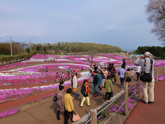 群馬県 箕郷町　春の一日　芝桜