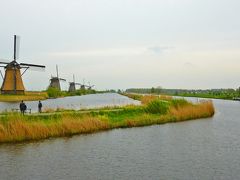 チューリップ畑を見たくって！ オランダへ（２/２）： 風車群も見に行こう！　そしてベルギーの小さな村 デュルビュイ散策も