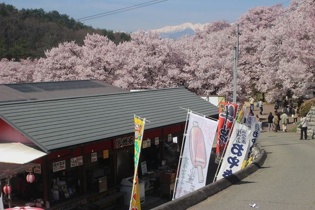 　春は桜の季節の旅が華やかです。<br />初めての春の長野・山梨県方面でしたが、満開の桜と桃の花や冠雪のアルプスの眺望を楽しみました。　高遠の桜は８分から１部満開、山高神代桜と河口湖は満開でした。<br />当初は３泊の予定でしたが、天候が悪くなったので伊豆半島北部までとして２泊で帰りました。<br /><br />Ｑ＆Ａで高遠の駐車場の情報を頂き、混雑前に入ることができました。