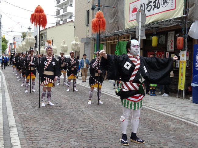 茅ヶ崎の４大祭りのひとつ、大岡越前祭が４月１９、２０日に催されました。市内の各所でいろいろなイベントが行われるようですが、その中のビッグイベント大岡越前も登場するというパレードを２０日に見に行ってきました。