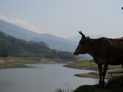 初インド♪ケララ州の田舎で自然満喫の旅