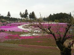 苺・芝桜・秩父神社かけあし秩父路