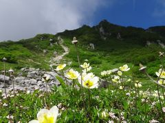 高山植物と雄大な景色に心洗われる−木曽駒ケ岳