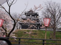 高田公園の桜を見る