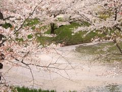 桜と温泉を楽しみに信州へ：（１）上田城 千本桜まつり