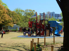 歴史ある公園　横浜公園のチューリップ祭り　と　愛でる人々　中