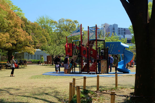 大桟橋で豪華客船を見ての帰り道　<br /><br />予定どおり　横浜公園のチューリップ祭りへ<br /><br />　チューリップと背後に写る人々。<br /><br />横浜観光情報サイト<br />http://www.welcome.city.yokohama.jp/ja/<br />横浜公園<br />http://www.city.yokohama.lg.jp/kankyo/park/yokohama/kouen012.html<br /><br /><br />焼死者４００人の慶応４年の遊郭時代の大火から<br /><br />外国人の設計の公園へ　公園から港までの道路が出来（日本大通り）<br /><br />横浜市民　外国人、共同で使用された公園がここに現れました<br /><br />敗戦後の　アメリカ軍の接収<br /><br />昭和２７年　接収解除　野球場も設置<br /><br />昭和５３年　横浜スタジアム建設<br /><br />平成　９年　横浜市の花　チューリップが植えられました。<br /><br />※　美しいチューリップの咲く公園<br /><br />　　横浜に有り　人に知られるようになりました。<br />