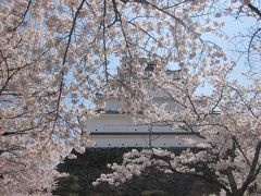 会津若松の鶴ヶ城の桜に魅せられて～猪苗代湖へ