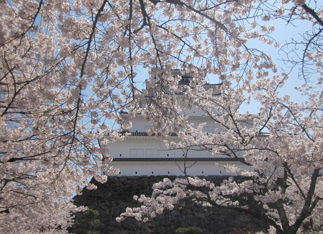 会津若松の鶴ヶ城の桜に魅せられて～猪苗代湖へ