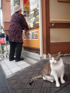 ★街十色～ 道後・松山・北条 のいろ★