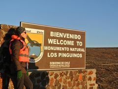 その13　2014 春　EL　 DANSHARI 　PATAGONICO　　　ペンギンの島・マグダレーナ島 