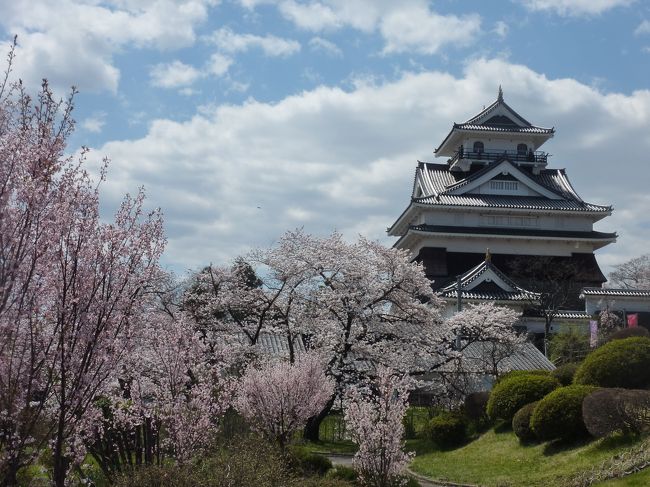 毎年お花見にはでかけますが、今年は地元の上山城とその隣の月岡神社と公園に出かけました。<br /><br />また上山市と山形市ので開発している（みはらしの丘）で毎週第三土曜日に開催されている<br />みはらしクラフトミュージアムにも行って見ました。