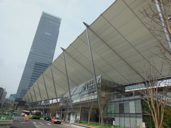 小学校のクラス会で東京へ行きました。私たちが小学校の時はなぜかクラス替えが1度もなかったので6年間同じクラスでした。学年には4クラスもあったのにほかのクラスの人はほとんど知りません。ベビーブームの時だったので55人ぐらいいました。二部授業があったよね とか 刑務所の囚人が脱走して学校のトイレに隠れたよねとか 当事者でなければ分からない話で盛り上がりました。夏の那須への旅行とか 秋の伊豆への旅行の話もでました。私は大阪からで大変ですが全部参加するつもりです
