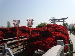 2014.4 春のお出かけ③　長岡天満宮・ツツジと乙訓寺・牡丹、都をどり♪