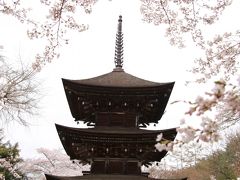 桜と温泉を楽しみに信州へ：（３）塩田平歴史探訪
