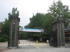 ３０代プチ韓国留学記＊1  大学夏期短期コース　準備編