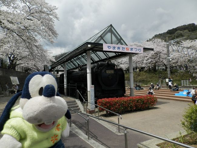 グーちゃん、伊東へ春の花見合宿に行く！（山北桜まつりに寄ってみた！編）