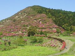 ツツジを見に行こう高峠つつじヶ丘公園　　※鹿児島県垂水市