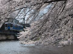 霞城公園（山形）の桜と鉄道の旅