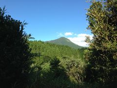 黒川温泉「山みず木」と湯布院「月燈庵」に泊まる　[月燈庵編]