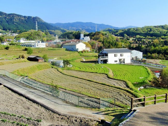 叡福寺を見た後、いよいよ「竹内（たけのうち）街道」散策を開始した。<br /><br />※竹内街道…大阪府堺市と奈良県橿原市とを結ぶ古来の主要道。<br /><br />司馬遼太郎「街道をゆく夜話」より<br /><br />　「。。。この竹ノ内街道は、飛鳥時代もしくはそれ以前から、大和盆地の政権にとって、唯一の官道だった。飛鳥期は蘇我氏の時代といってもよく、その蘇我氏はこの山麓に蟠踞（ばんきょ）し、この赭土（あかつち）の官道をにぎっていた。この官道ははるかに難波ノ津に通じ、難波ノ津には韓（から）とも唐とも知れぬ蕃船（ばんせん）が入津し、異国の神はきらきらしといわれた仏像その他の文物を運んできては、揚陸した。それらの文物はこの官道ををつたって竹ノ内峠を越え、大和に入る。その導入についての権利（とも能力ともつかぬ）機能を蘇我氏がそなえていたということを少年期をすぎるころに知って、この風景に、きわめて奇妙なことながら、異国がかぶさるようになった。。。」<br /><br />1976年11月の「藝術新潮」に掲載された、この『竹ノ内街道こそ』という文章を読んで以来、竹内街道は、私にとって長い間憧憬して止まない地であった。<br />今回、生駒山や叡福寺にやって来たのは、河内の方から大和に向かって、竹内街道を歩くという目的からである。<br />本当は奈良県西部から大阪府東部に向かって歩きたかったのだが、そちらの方が道が険しいので体力のない私には無理だろうと、相棒殿が判断したのだった。（しかし、私はいつの日かまた奈良から大阪方面に向かって歩こうと密かに思っている(^_-)）<br />