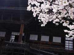 桜の季節の長野ドライブ③長野編