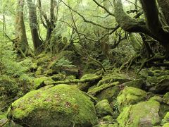 初の屋久島　その１＠白谷雲水峡