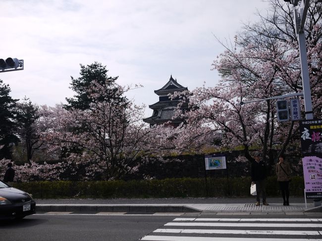 関東より少し遅めの桜を見に、ドライブに行ってきました。<br />今回は途中で長野の友人をピックアップ。<br /><br />松本～安曇野～長野とまわりました。