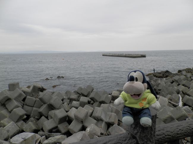 グーちゃん、伊豆網代温泉へ臨時合宿に行く！（ウラミはらさでおくべきか・・・編）