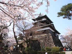 福井県・丸岡城桜まつり