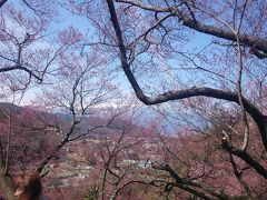 高遠城址漂流