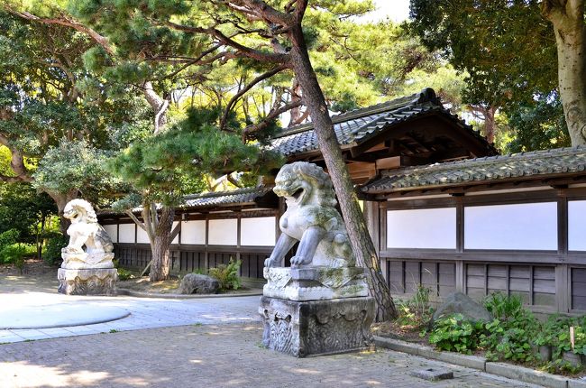 須磨寺駅から500mほど坂道を登っていくと「花と水と歴史のオアシス」を標榜する神戸市立須磨離宮公園があります。<br />ここは、千年以上の歴史を持つ由緒ある「月見」の名所として知られています。源氏物語の光源氏のモデルとされる平安貴族 在原行平が、配流されたこの地の月に、都で見た名月をだぶらせて都を偲んだとされる場所が須磨離宮公園内の「月見台」。「月見山」の地名や駅名のルーツになっています。<br />須磨離宮公園は、須磨離宮跡に造られた広大な都市庭園です。広い敷地に溢れる緑と花。約300種、8万株の草花や花木が植えられ、一年を通して花が咲いています。庭園のランドマークの噴水広場は、水をモチーフにした美しい欧風庭園です。宮殿を模したレストハウスから湧き出た水は、メインフォールとなってカスケードを下り、最後は美しい弧を描く大噴水となって吹き上がります。その周りにはバラ園が幾何学的に配置され、近代的ながら欧風庭園の伝統様式を備えています。ヨーロッパの宮殿を彷彿とさせる前庭、噴水越しに見下ろす瀬戸内海の穏やかな海、そこをゆっくりと滑り行く船影、そして水脈。かつての離宮の面影を一部に遺し、賛沢な空間が広がっています。<br /><br />