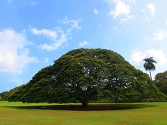 憧れの彼女に会いに…☆火山が創りし島オアフを遊ぶ／ハワイを週末+有給2日de大満喫！【5】