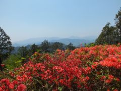 新緑の高尾山～城山～小仏峠を歩いてきました。