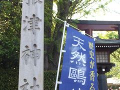 「ツツジ」を訪ね歩いてたら、たまたま三菱財閥・岩崎家にまつわる庭園を征服！②～「根津神社」