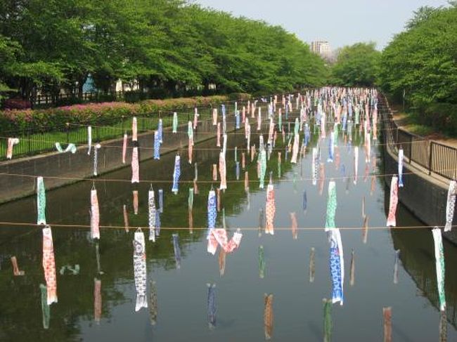 １４ 館林つつじまつり 館林さんぽ１ 館林さんぽとこいのぼりの里まつり編 館林 群馬県 の旅行記 ブログ By たーさん フォートラベル