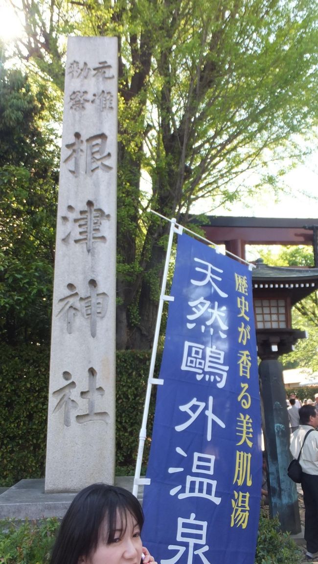「ツツジ」を訪ね歩いてたら、たまたま三菱財閥・岩崎家にまつわる庭園を征服！②～「根津神社」