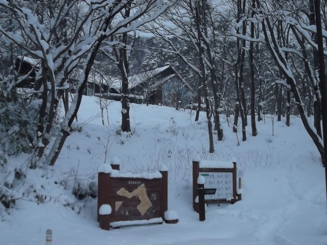 冬の宮城蔵王の旅。そこには真っ白な雪景色でした！