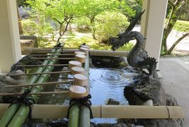 2014春、桜からハナミズキ・藤の花(2/5)：針名神社、秋葉山、ハクセキレイ