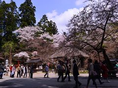 いわて花めぐり(2) 　世界遺産平泉その１