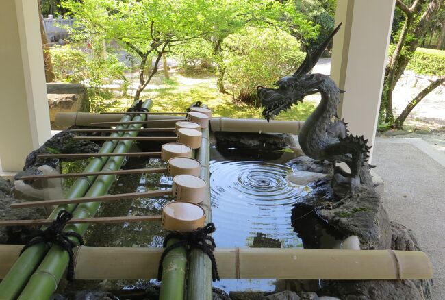 ソメイヨシノから、ハナミズキ、藤の花へと代わった、天白の季節の移ろいの紹介です。