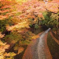 京都・奈良（一日目）